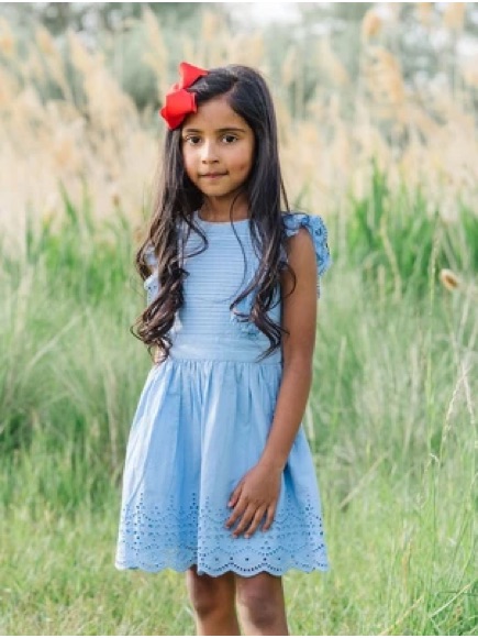 Hope & Henry Girls’ Flutter Sleeve Flower Girl Dress Cornflower Blue 12 Nwt — image 2 of 8